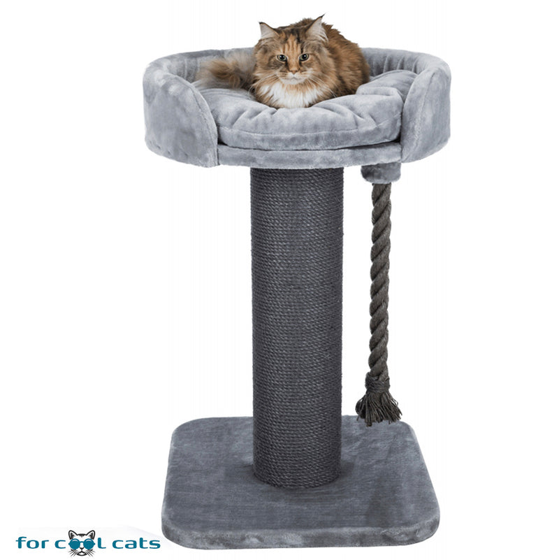 Frustration Forkæle Ulejlighed Stevige krabpaal voor grote kat XXL grijs 60x60x100cm – For Cool Cats